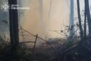 Вогнеборці приборкали масштабні лісові пожежі на Закарпатті та Рівненщині (фото)