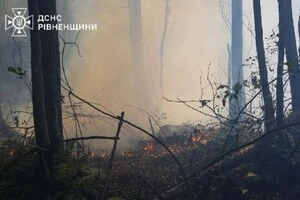 Пожежу вдалося локалізувати