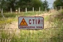 Поля соняшника і кукурудзи у Чорнобильській зоні: викрито масштабну земельну схему
