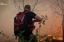 Поблизу Києва спалахнула масштабна лісова пожежа: полум'я локалізували (фото)