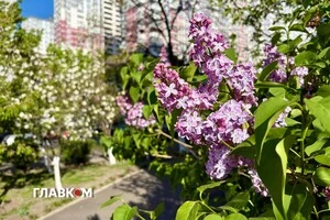 Прогноз погоди на 8 травня