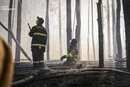 Пожежа у Зоні відчуження охопила понад 1100 гектарів, гасіння ускладнене мінною небезпекою