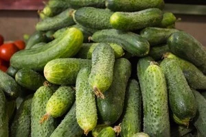 Ціни на огірки в Україні впали нижче минулорічного рівня