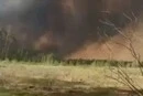  Масштабна лісова пожежа на Чернігівщині: вогонь перекинувся на територію Росії (відео)