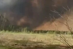 Масштабна лісова пожежа на Чернігівщині