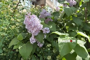 Погодні умови в столиці фактично відповідають кінцю липня