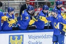 Україна перемогла у заключній грі Чемпіонату світу з хокею: що далі