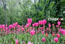 В Україні до +25°, місцями дощі з грозами: погода на 9 травня 2026