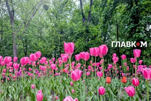 В Україні до +25°, місцями дощі з грозами: погода на 9 травня 2026