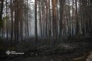 Житомирщина: на території заповідника виникла масштабна пожежа