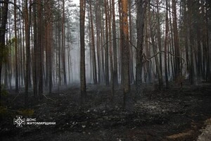 Житомирщина: на території заповідника виникла масштабна пожежа