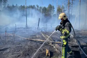 Синоптики попередили про надзвичайну пожежну небезпеку у низці областей