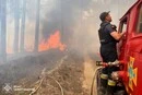 Пожежу на Чернігівщині вдалося локалізувати: подробиці стихійного лиха