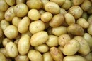 Сезон молодої картоплі: як обрати якісний продукт
