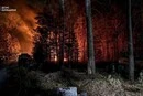 Масштабна пожежа в Зоні відчуження: вогонь охопив 1200 гектарів лісу