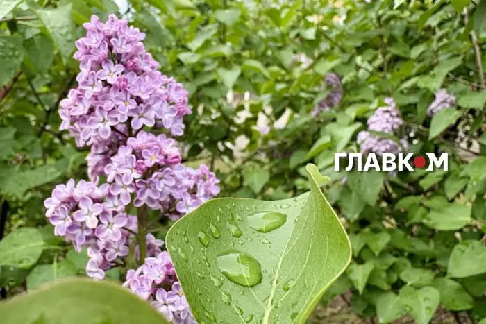 В Україні місцями дощитиме: погода на 11 травня