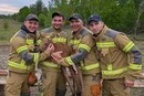 У Чорнобильській зоні пожежники врятували лосеня, яке заплуталося в антидроновій сітці