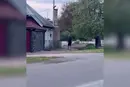 Стрілянина через бузок у Черкасах: поліція знайшла порушника