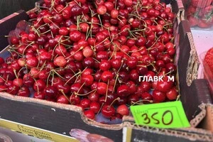 Організатори закликають відвідувачів дбати про власну безпеку та слідувати в укриття під час оголошення повітряної тривоги