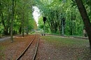 Прокуратура через суд вимагає захистити від забудови парк «Сирецький гай»: деталі