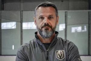 Годинюк є віцепрезидентом ФХУ, де курує збірні України