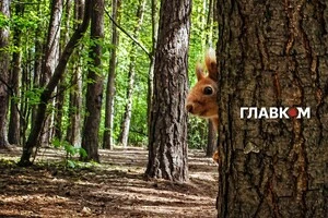 В Україні хмарно з проясненнями, очікуються дощі