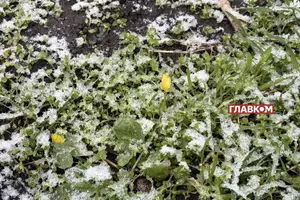 На Львівщині 13-15 травня оголошено І рівень небезпечності