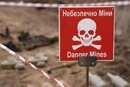 Україна вперше оголосила аукціони на розмінування приватних сільгоспземель