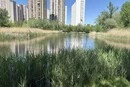  Озеро «Жандарка» планується перетворити на сучасну зону відпочинку: деталі 