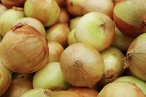 Ціни в Україні на цибулю за тиждень зросли в середньому на 19%