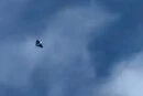У столиці пролунали вибухи, працює ППО