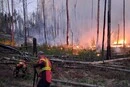 Через ворожі «Шахеди» у Чорнобильському заповіднику знову спалахнули пожежі