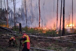 Розповсюдження вогню вдалося зупинити, проте роботи з гасіння пожежі тривають