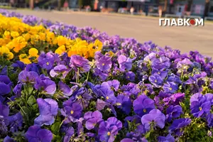 В Україні очікуються грози з градом та шквалами