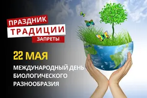 22 мая: какой сегодня праздник, традиции и запреты