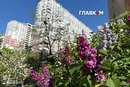 Прогноз погоди на тиждень 18 – 24 травня 2026 року
