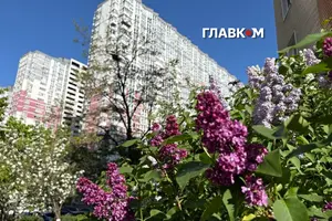 Прогноз погоди на тиждень 18 – 24 травня 2026 року