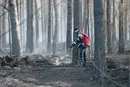 12 днів боротьби з вогнем. Рятувальники загасили пожежу в Поліському заповіднику