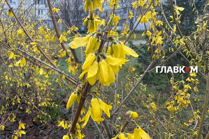 В Україні дощі, град: погода на 19 травня
