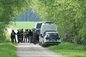 Естонія розкрила деталі збиття дрона під час тривоги в Балтії