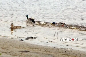 В Україні хмарно з проясненнями, очікуються дощі