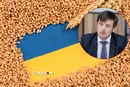 Україна підрахувала, скільки зерна Росія вкрала з окупованих територій за час війни