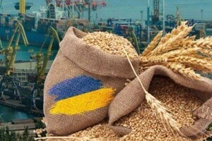 Відкриття ринку для України викликало невдоволення угорських фермерів