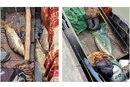Браконьєри незаконно виловили червонокнижну рибу в заповіднику