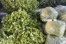 Де у Києві проходитимуть сезонні продуктові ярмарки 26-31 травня (адреси)