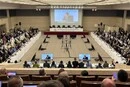 Україна домоглася створення нового природоохоронного району біля станції «Вернадський»