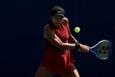 Колишня перша ракетка світу Осака піддалася критиці через проведення особливого заходу