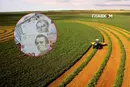 Скільки коштує гектар землі у 2026 році: дані по регіонах