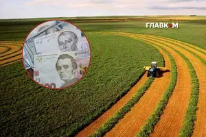 Найактивніше землю продають у центральних та північних регіонах країни