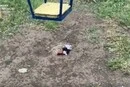 Ворог уразив дитячий майданчик у Херсоні: є загиблий та поранені (відео)